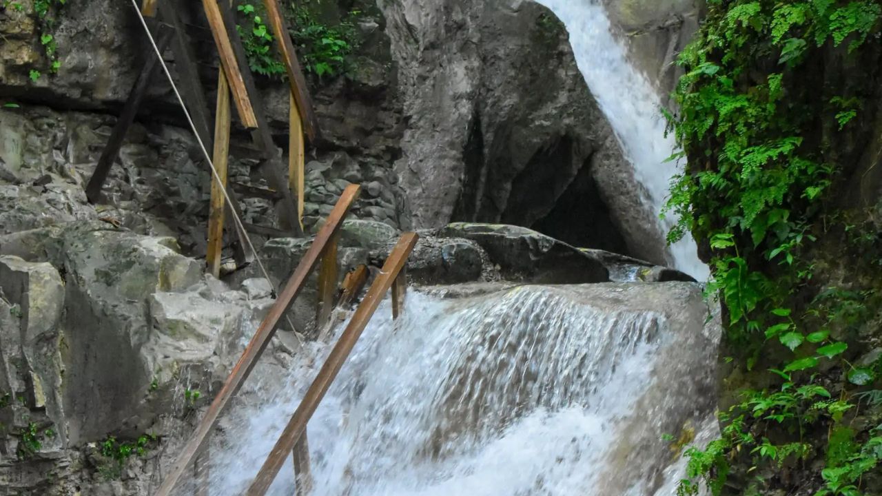 image-0