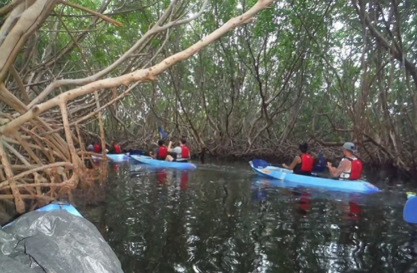 From San Juan: Bioluminescent Bay Kayak Adventure at Night - Dominican Republic