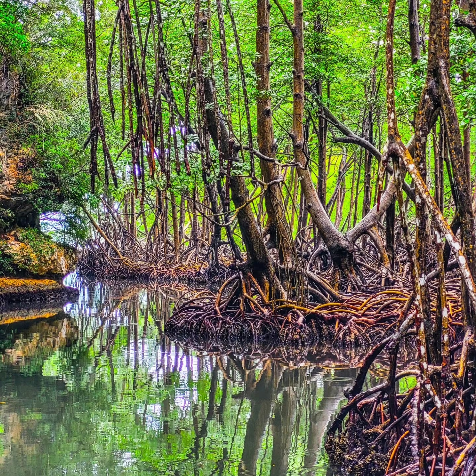 Samaná: Los Haitises ATV & Kayak + Cayo Levantado Tour - Dominican Republic