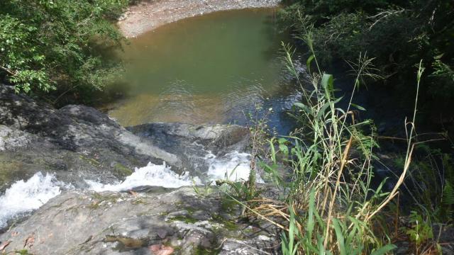 image-0