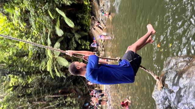 image-7