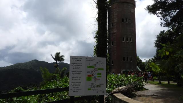 image-0