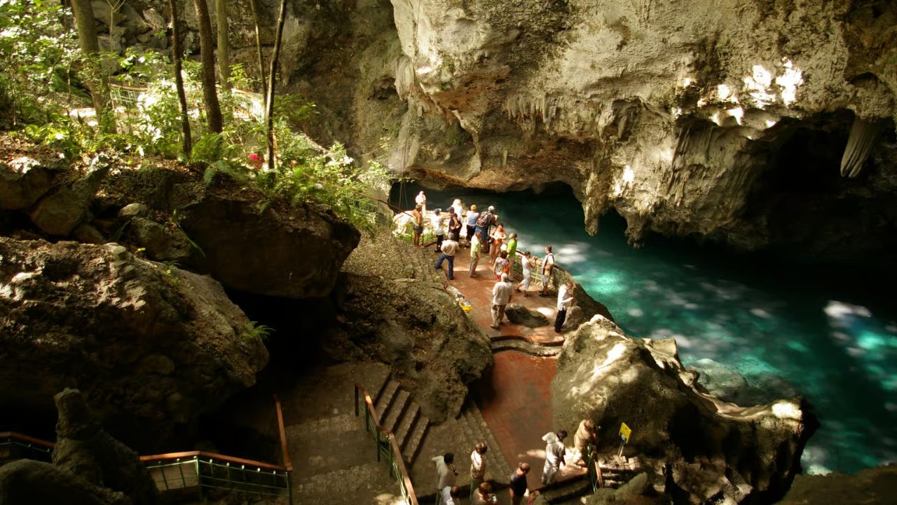 image-1