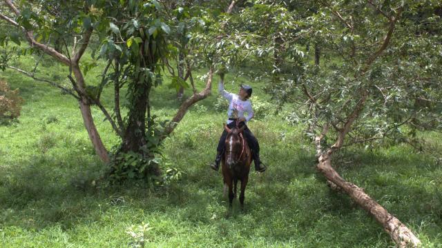 image-9