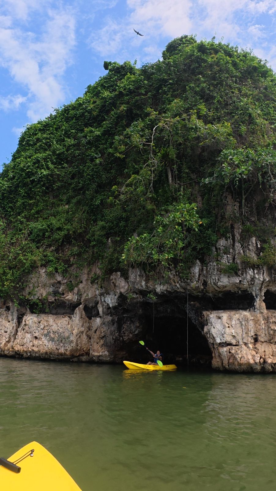 Samana: ATV Los Haitises, Kayaks and Pools Day Trip - Photo 5 (Gallery view)