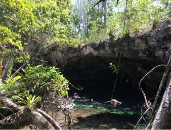 image-5
