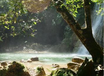 image-5