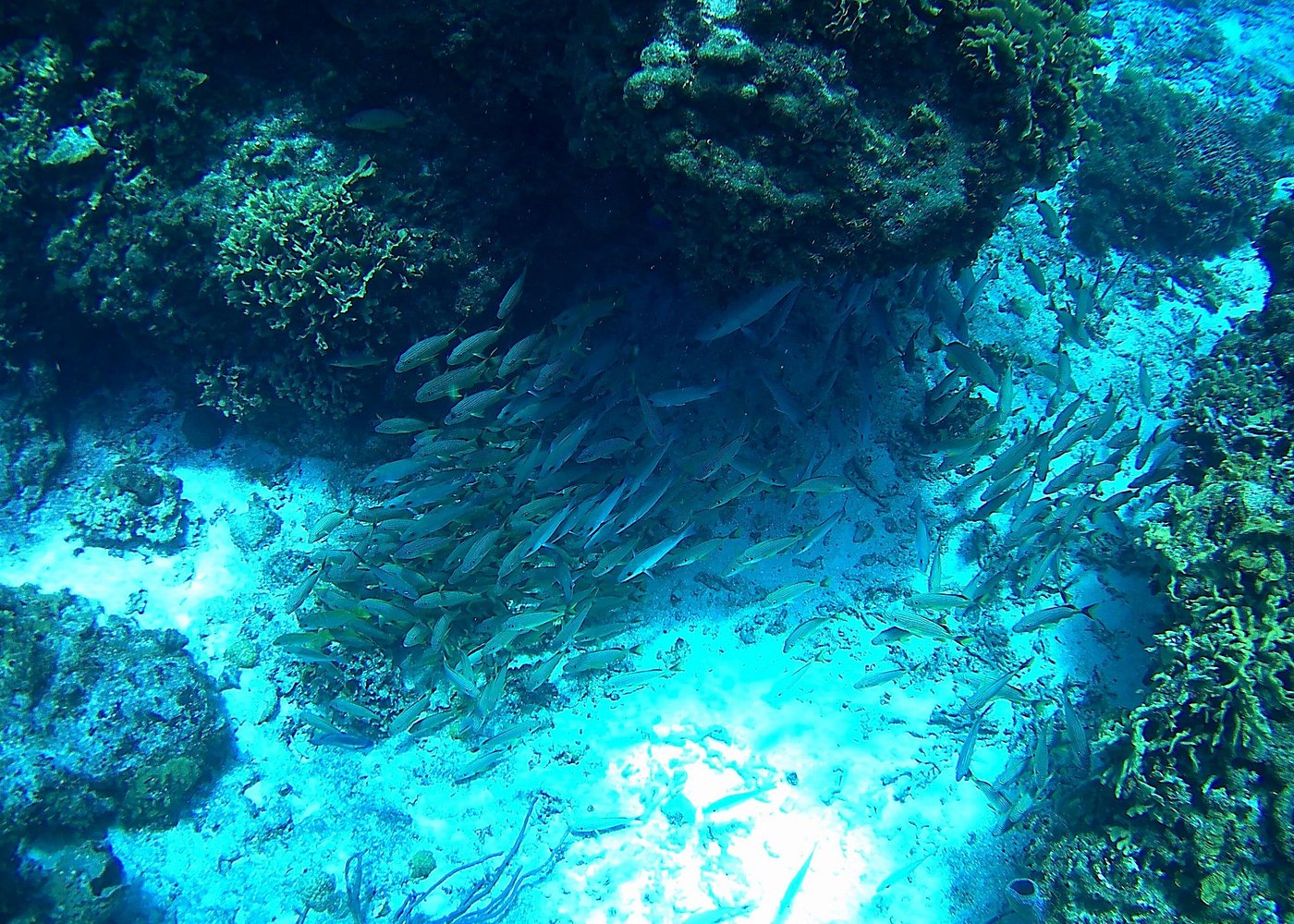 image-3