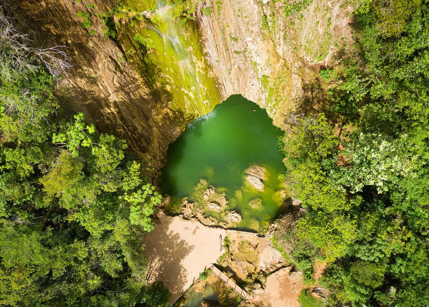 image-4