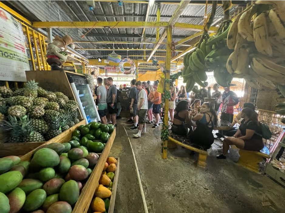 El Yunque Rainforest Waterslides and Beach Tour & Transport - Photo 3 (Gallery view)