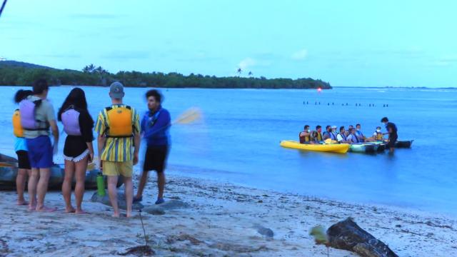 image-3