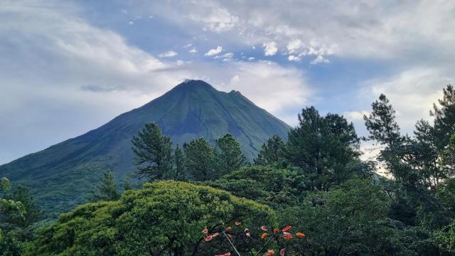 image-5