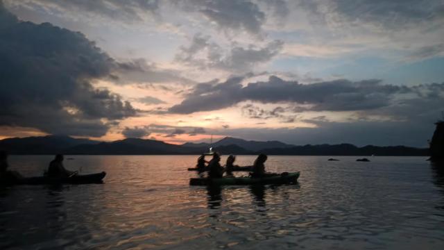 image-7