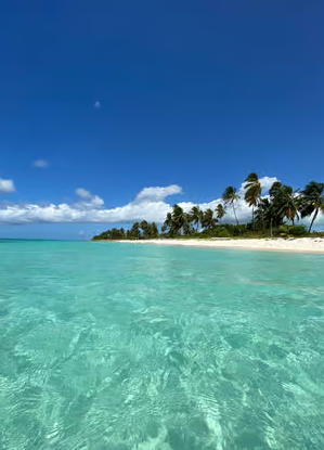 Saona Island VIP: 4 Beaches , Mano Juan & Canto de la Playa - Dominican Republic