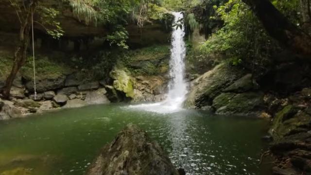 image-9