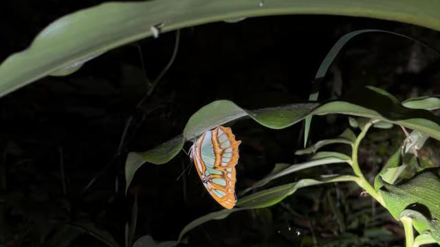 image-8