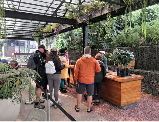 San José: excursie de o zi cu ghid la vulcan, cascadă și ferma de cafea - Photo 3 (Gallery view)
