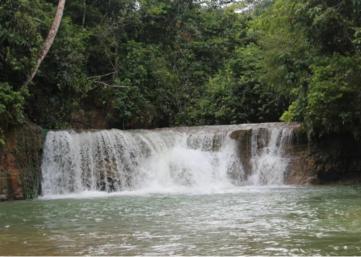 image-3