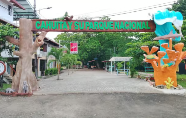 Cahuita National Park: Guided Nature & Wildlife Hike - Photo 4 (Gallery view)