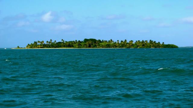 image-0