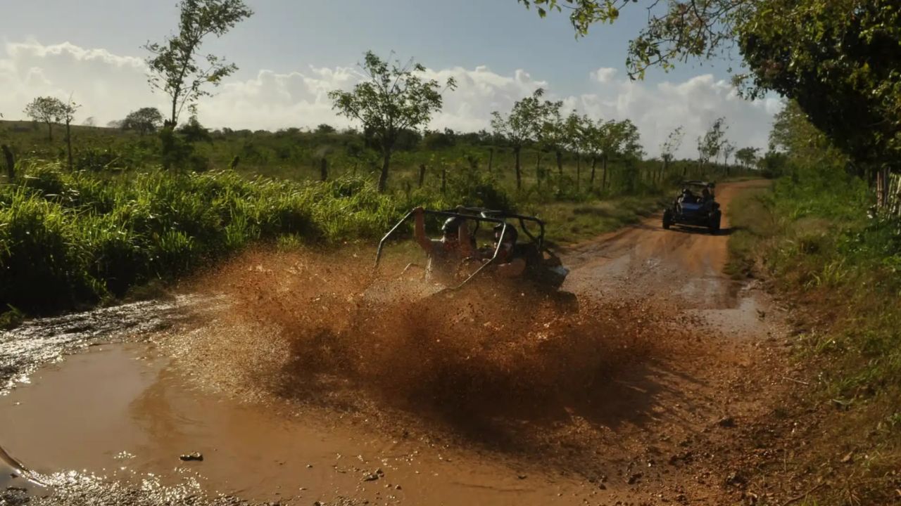 image-0