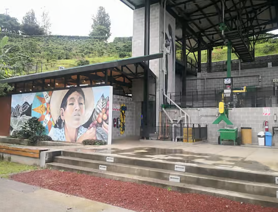 San José: excursie de o zi cu ghid la vulcan, cascadă și ferma de cafea - Photo 4 (Gallery view)