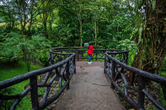 La Fortuna: Hanging Bridges Guided Tour at Mistico Park - Photo 5 (Gallery view)