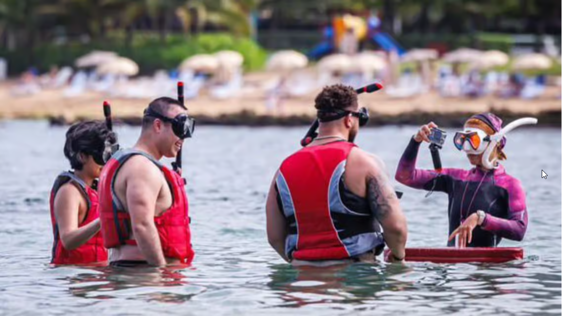 San Juan: Snorkeling with Turtles with Complimentary Videos - Photo 4 (Gallery view)