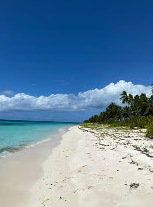 Saona Island VIP: 4 Beaches , Mano Juan & Canto de la Playa - Photo 5 (Gallery view)
