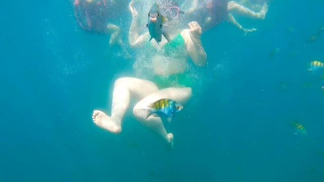 image-7