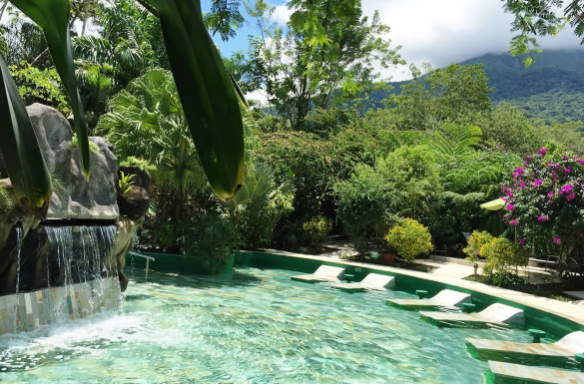 San José: Arenal Volcano, Waterfalls, Coffee and Hot Springs - Photo 4 (Gallery view)