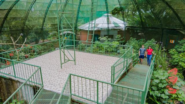 image-0