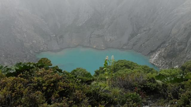 image-8