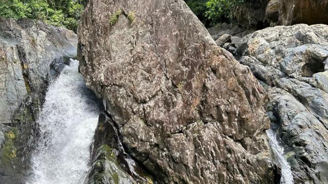 image-0