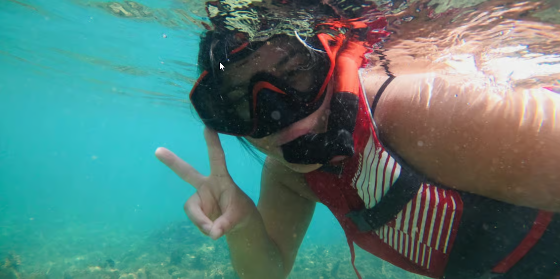 San Juan: Snorkeling with Turtles with Complimentary Videos - Photo 2 (Gallery view)