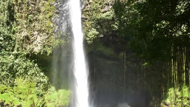 image-0