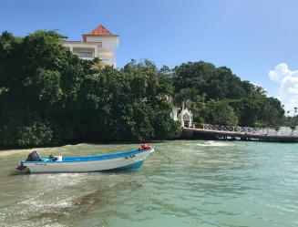 image-2