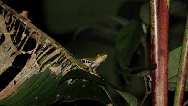 image-4