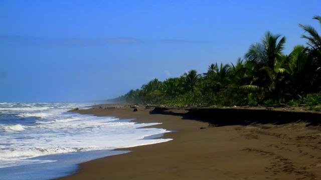 image-0