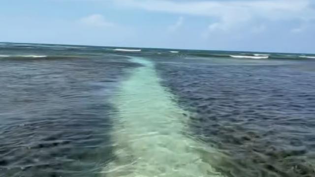 image-0