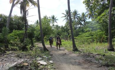 image-5
