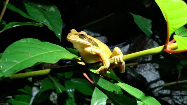 image-4