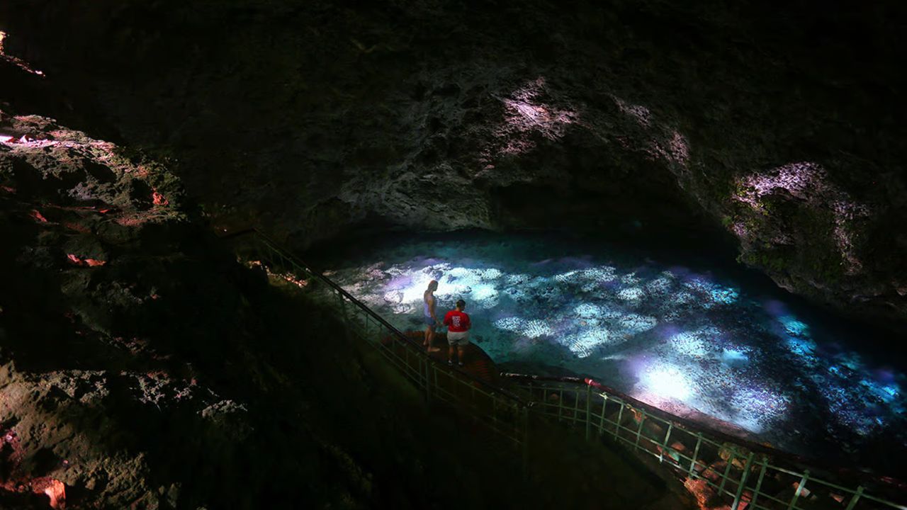 image-5