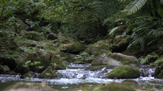 image-0