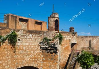 image-7