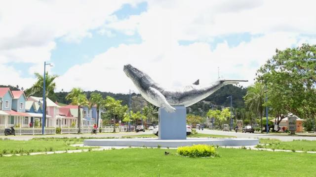 image-5