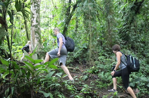 La Fortuna: Arenal Volcano, Lunch, & Hotsprings Morning Tour - Photo 2 (Gallery view)