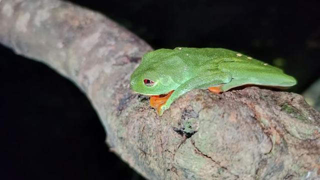 image-5