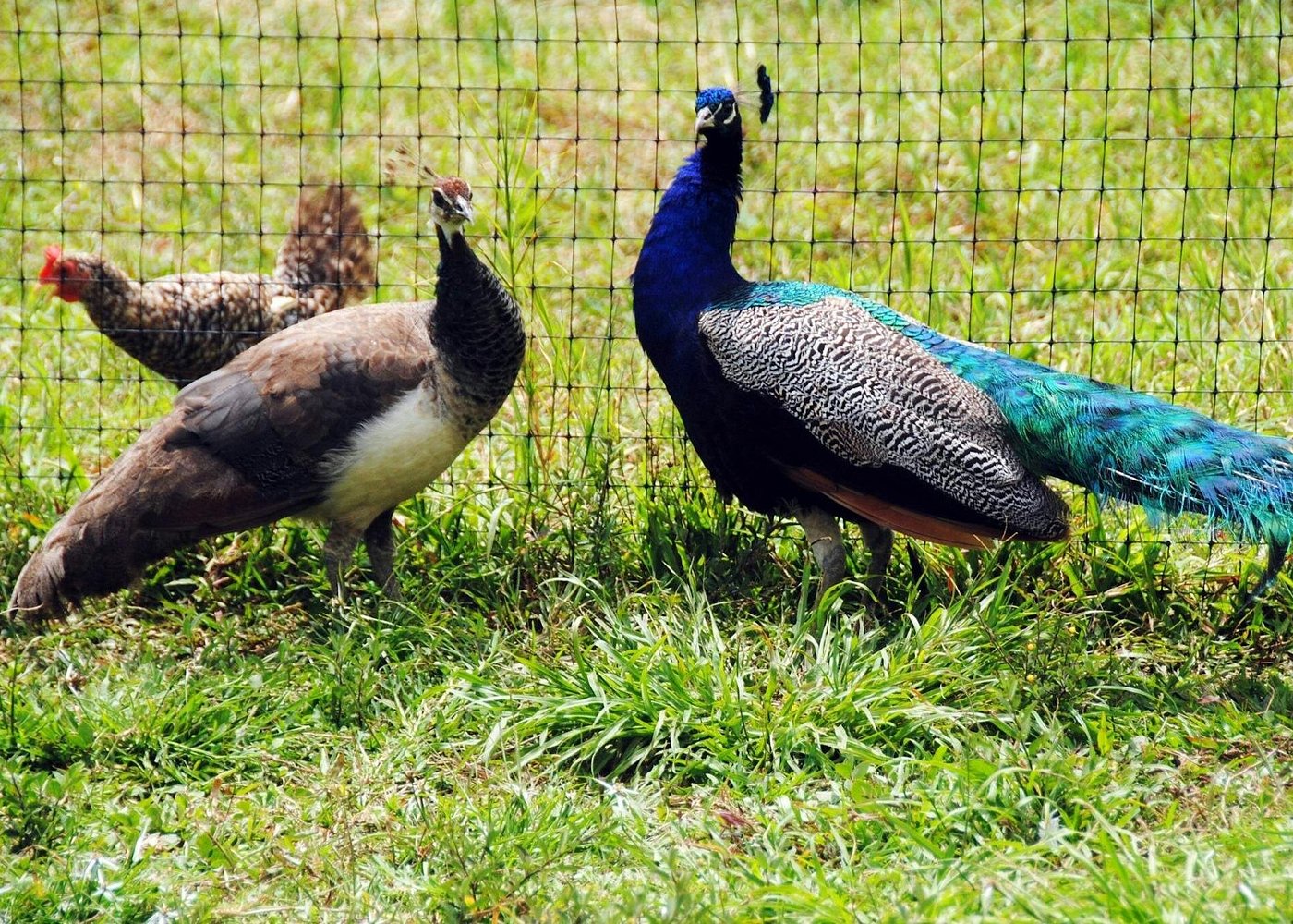 Punta Cana: Xploration Animal Park Bus Tour with Encounters - Photo 5 (Gallery view)