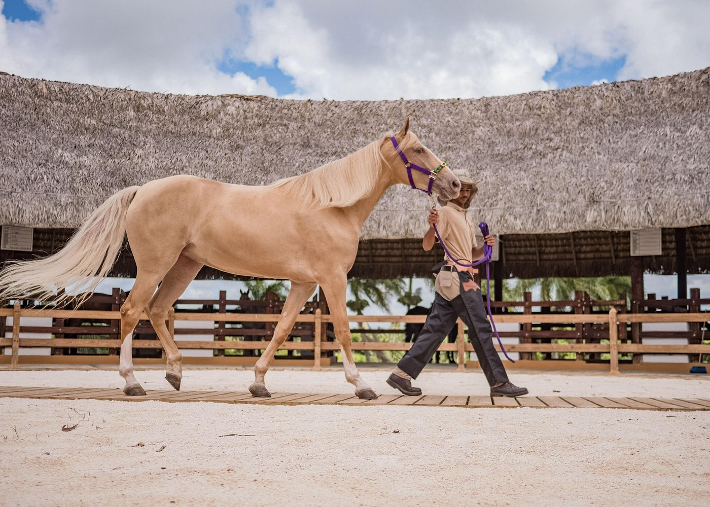 Punta Cana: Xploration Animal Park Bus Tour with Encounters - Photo 4 (Gallery view)